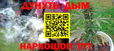 соль ск Можга